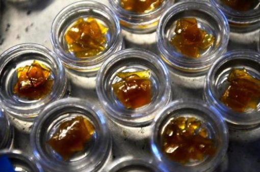Buy Hash Oil Honey